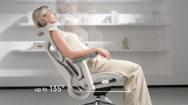 Sihoo Doro S100 Sihoo Doro S100