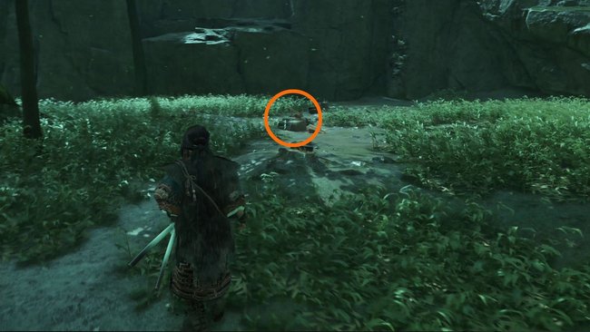 Fundort von Niesike Fundort von Niesike