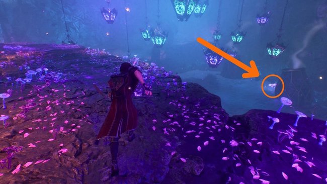 Die Pilze findet ihr rechts unter euch in der ersten großen Höhle von Esquies Nest. Die Pilze findet ihr rechts unter euch in der ersten großen Höhle von Esquies Nest.