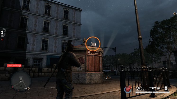 Papptaube #9 - Fundort Papptaube #9 - Fundort