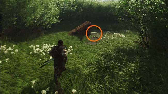 Fundort von Mukkuri Fundort von Mukkuri