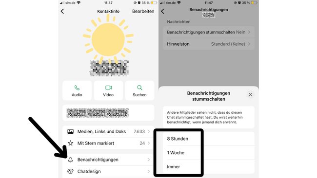 WhatsApp Screenshot vom Menü zum stummschalten von Chats. WhatsApp Screenshot vom Menü zum stummschalten von Chats.