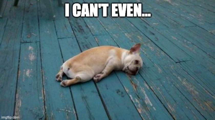 i cant even meme i cant even meme