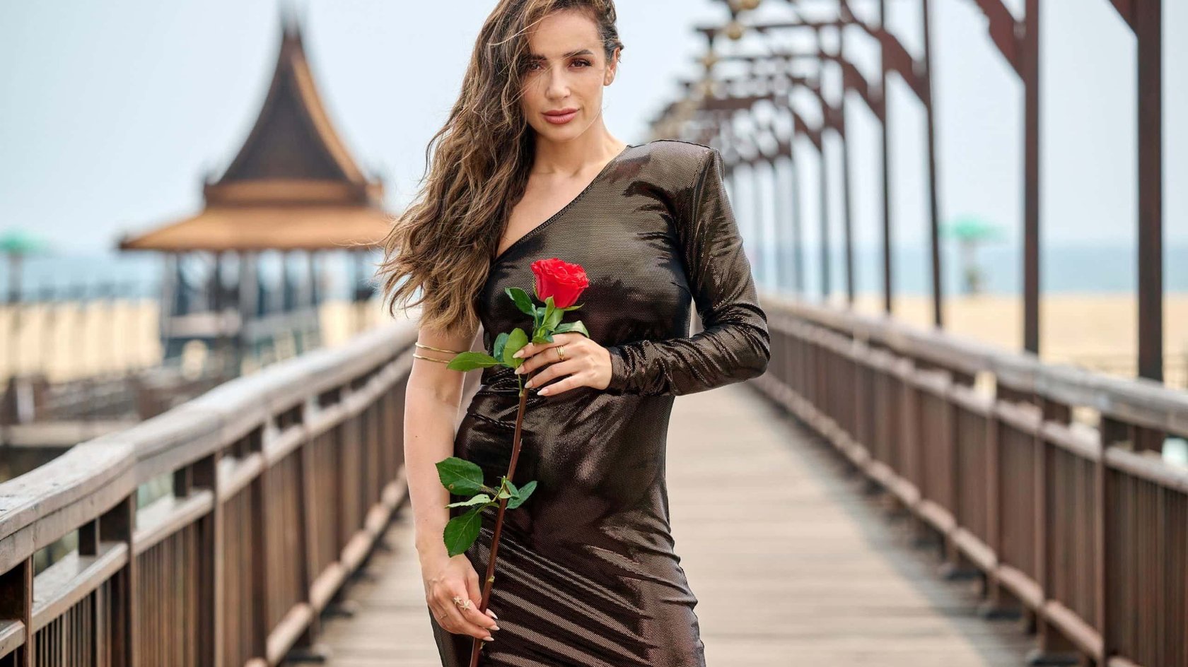 Wer muss bei der Nacht der Rosen zittern? Wer muss bei der Nacht der Rosen zittern?