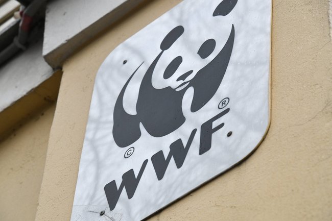 WWF Logo WWF Logo