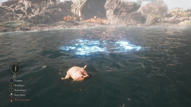 Das Bild zeigt schimmerndes Wasser. Das Bild zeigt schimmerndes Wasser.