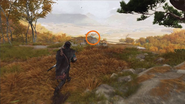 Fundort von Tamasai Fundort von Tamasai