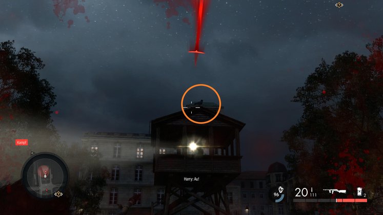 Papptaube #7 - Fundort Papptaube #7 - Fundort