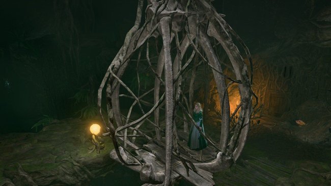 Knorriger Käfig Knorriger Käfig