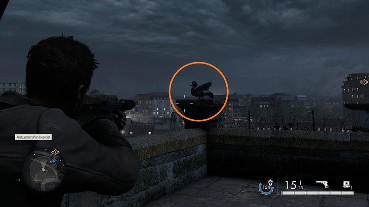 Papptaube #2 - Fundort Papptaube #2 - Fundort