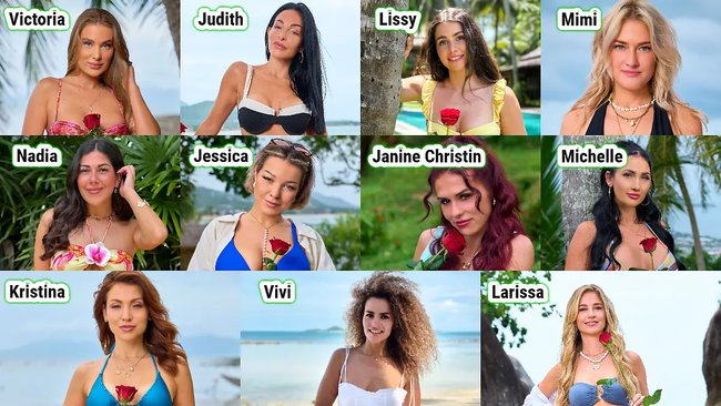 die Kandidatinnen von Bachelor in Paradise die Kandidatinnen von Bachelor in Paradise