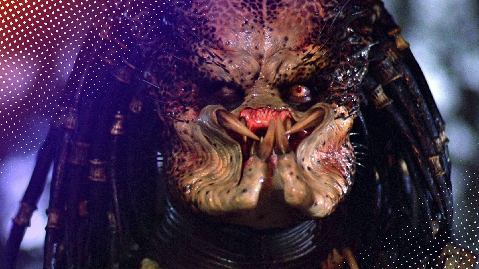 Der Predator wird für jeden Menschen zur Gefahr. Der Predator wird für jeden Menschen zur Gefahr.