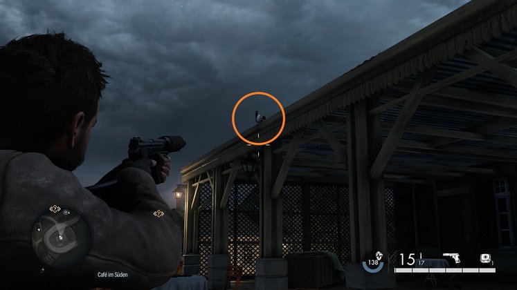 Papptaube #1 - Fundort Papptaube #1 - Fundort