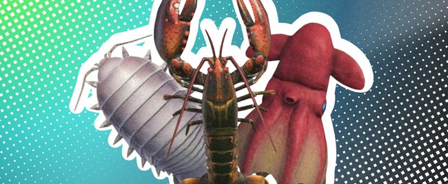 Animal Crossing - New Horizons: Alle Meerestiere, ihre Fundorte und Preise im November Animal Crossing - New Horizons: Alle Meerestiere, ihre Fundorte und Preise im November