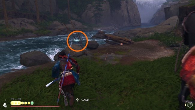 Fundort von Marek Fundort von Marek