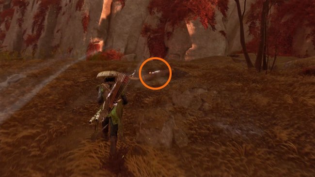 Fundort von Cispo Fundort von Cispo