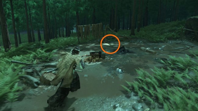 Fundort von Citarpe-Umhang Fundort von Citarpe-Umhang