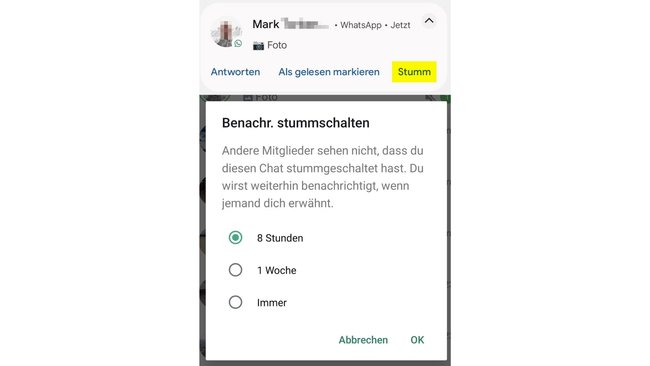 WhatsApp Screenshot Chat stumm stellen. WhatsApp Screenshot Chat stumm stellen.