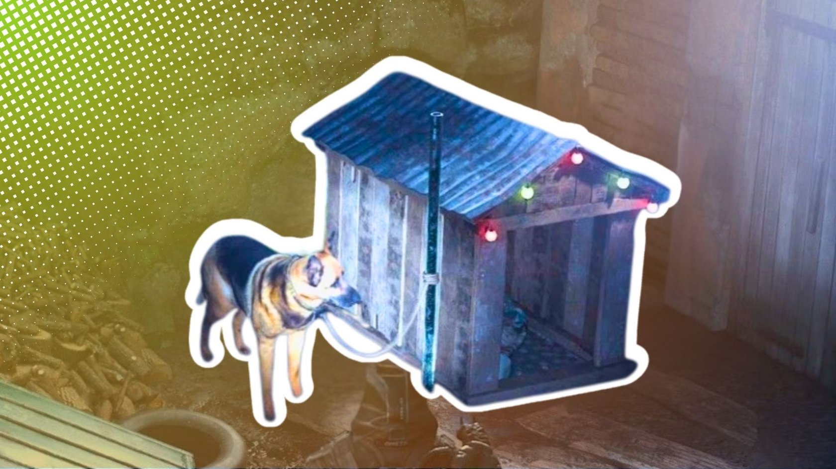 In den Acasa-Sümpfen könnt ihr einen Hund in die Freiheit entlassen. In den Acasa-Sümpfen könnt ihr einen Hund in die Freiheit entlassen.