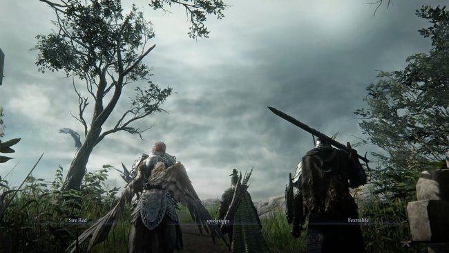 Wächter, Eisenauge und Wylder brechen in Elden Ring: Nightreign nach Limveld auf. Wächter, Eisenauge und Wylder brechen in Elden Ring: Nightreign nach Limveld auf.