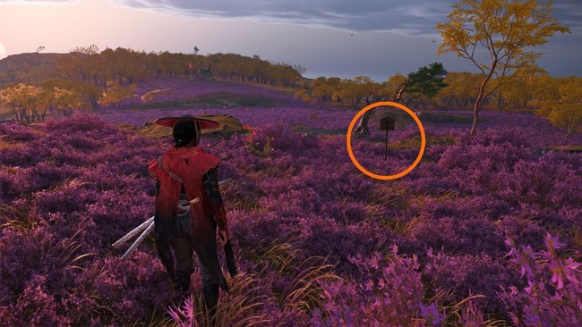 Das Schild steht auf den violetten Feldern. Das Schild steht auf den violetten Feldern.