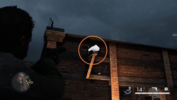 Papptaube #6 - Fundort Papptaube #6 - Fundort