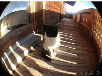 Foto mit Olloclip Fisheye