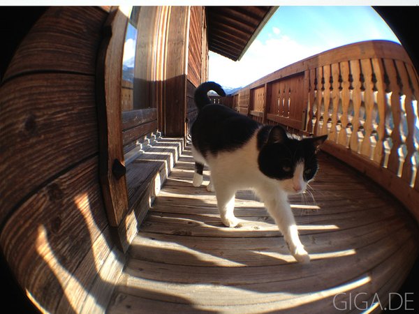 Foto mit Olloclip Fisheye