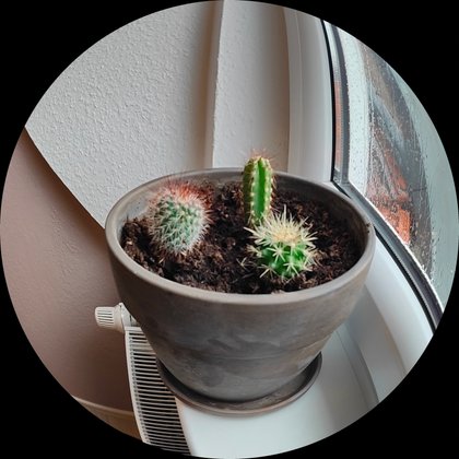 Fisheye-Perspektive mit dem Realme GT 2 Pro (Bildquelle: GIGA) Fisheye-Perspektive mit dem Realme GT 2 Pro (Bildquelle: GIGA)