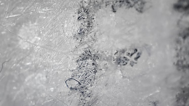 Mikroskop-Aufnahme mit dem Realme GT 2 Pro (Bildquelle: GIGA) Mikroskop-Aufnahme mit dem Realme GT 2 Pro (Bildquelle: GIGA)