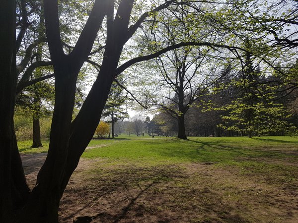 Testfoto „Park“: Galaxy S7 Testfoto „Park“: Galaxy S7