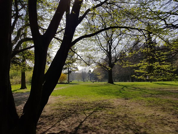 Testfoto „Park“:Galaxy S8 Testfoto „Park“:Galaxy S8