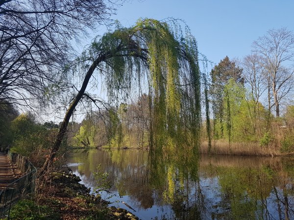 Testfoto „Teich“: Samsung Galaxy S7 Testfoto „Teich“: Samsung Galaxy S7