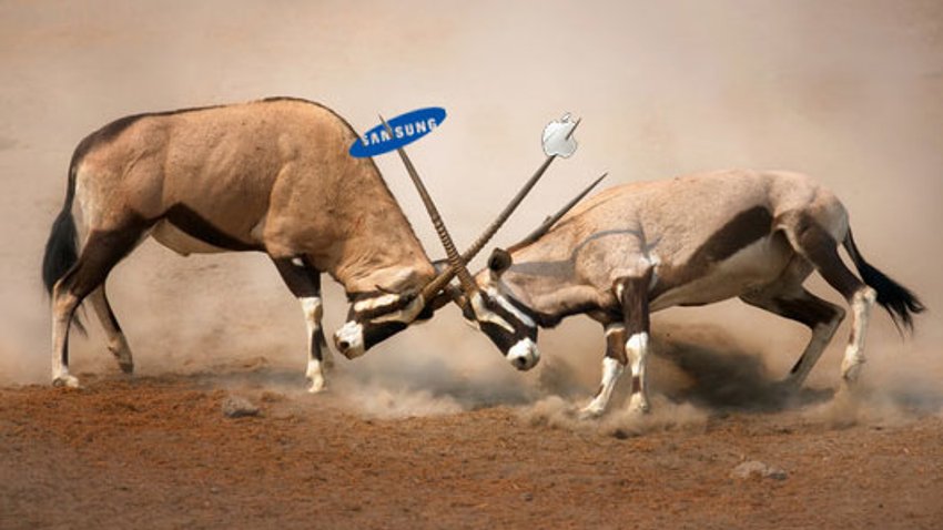 Apple vs Samsung
