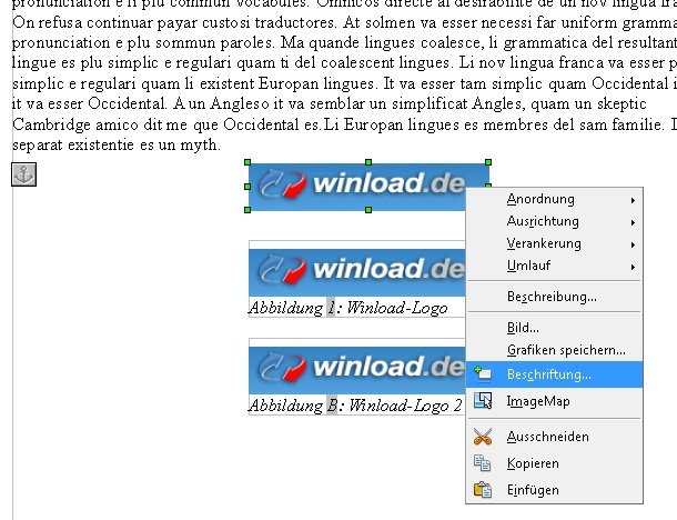 Fügen Sie in OpenOffice Bildunterschriften zur genauen Beschreibung der Bilder hinzu OpenOffice Bildunterschrift Screenshot