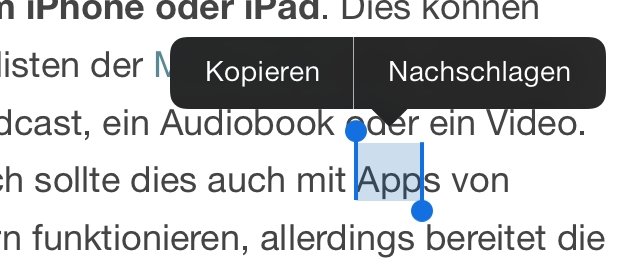 Singular statt Plural Singular statt Plural