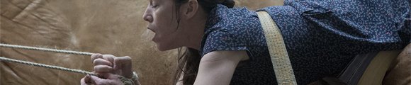 Nympho_Banner_1