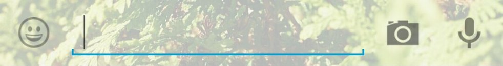 whatsapp-update-kamera-shortcut
