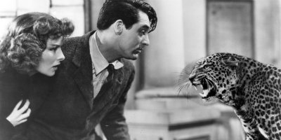 Cary Grant und Ingrid Bergman in Leoparden küsst man nicht