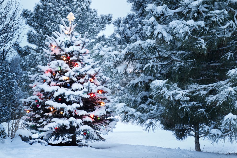 Jedes Jahr zu Weihnachten wohl die wichtigste Frage: Gibt es weiße Weihnachten? Wird Schnee fallen?