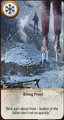 witcher3-gwint-wetter witcher3-gwint-wetter