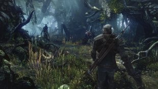 The Witcher 3 Walkthrough: Hexer-Auftrag - Monster im Wald
