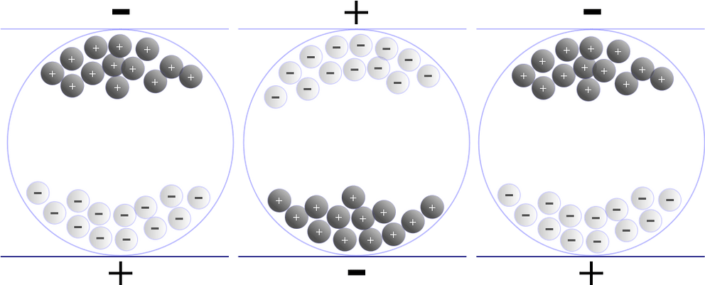 Schema einer elektrophoretischen Anzeige (Quelle: Wikipedia)