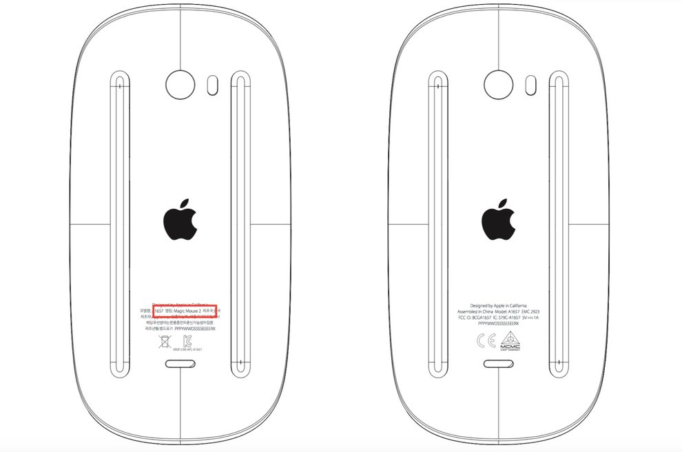 Mouse