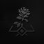 entdornte-wildrose entdornte-wildrose