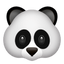 snap-6 snap-6