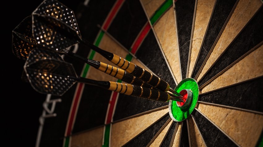 Dart Scheibe