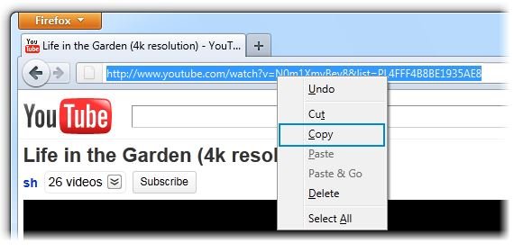YouTube Playlist downloaden