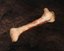 far-cry-primal-knochen far-cry-primal-knochen