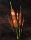 far-cry-primal-schilf far-cry-primal-schilf